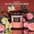 Picture of Black Currant & Rose ,HomeLights 3-Layer Highly Scented Candles